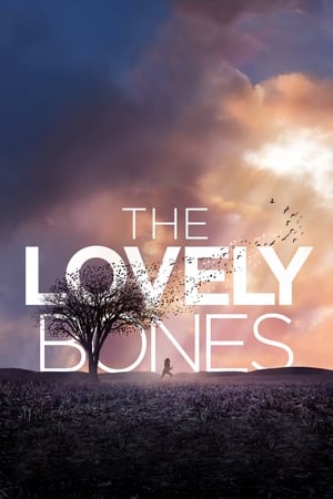 The Lovely Bones (2009) Hindi Dual Audio 430MB HD Poster Download - Filmyzilla