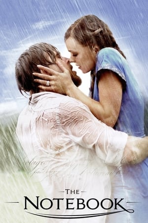 The Notebook 2004 Dual Audio Hindi Full Movie - 1GB HD Poster Download - Filmyzilla