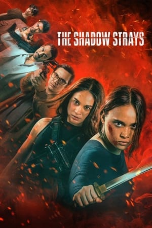 The Shadow Strays 2024 Hindi Dual Audio – 720p – HD Poster Download - Filmyzilla