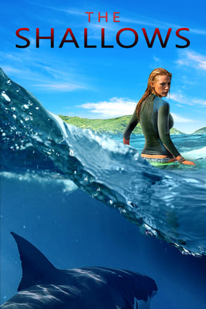 The Shallows 2016 Dual Audio (Hindi) [1GB] HD Poster Download - Filmyzilla