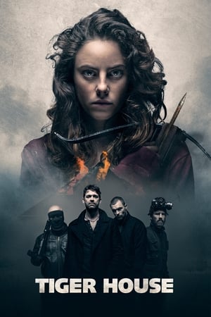 Tiger House (2015) Hindi Dual Audio 300MB HD Poster Download - Filmyzilla