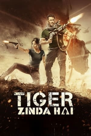 Tiger Zinda Hai 2017 Hindi Audio HD Poster Download - Filmyzilla