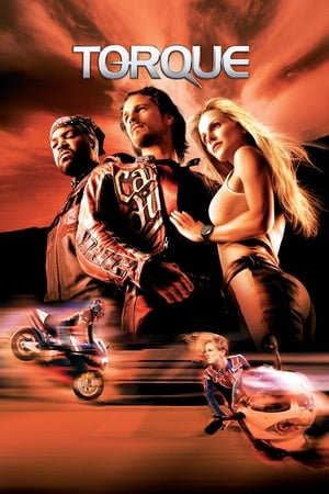 Torque 2004 Hindi Dual Audio [600MB] Download HD Poster Download - Filmyzilla