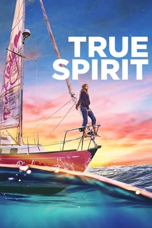 True Spirit (2023) Hindi Dual Audio – HD Poster Download - Filmyzilla
