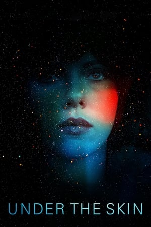 Under the Skin 2013 Hindi Dual Audio [850MB] HD Poster Download - Filmyzilla
