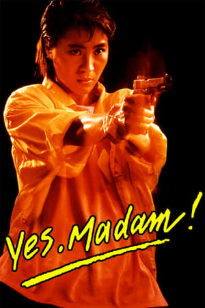 Yes Madam 1985 300MB Hindi Dubbed Download HD Poster Download - Filmyzilla